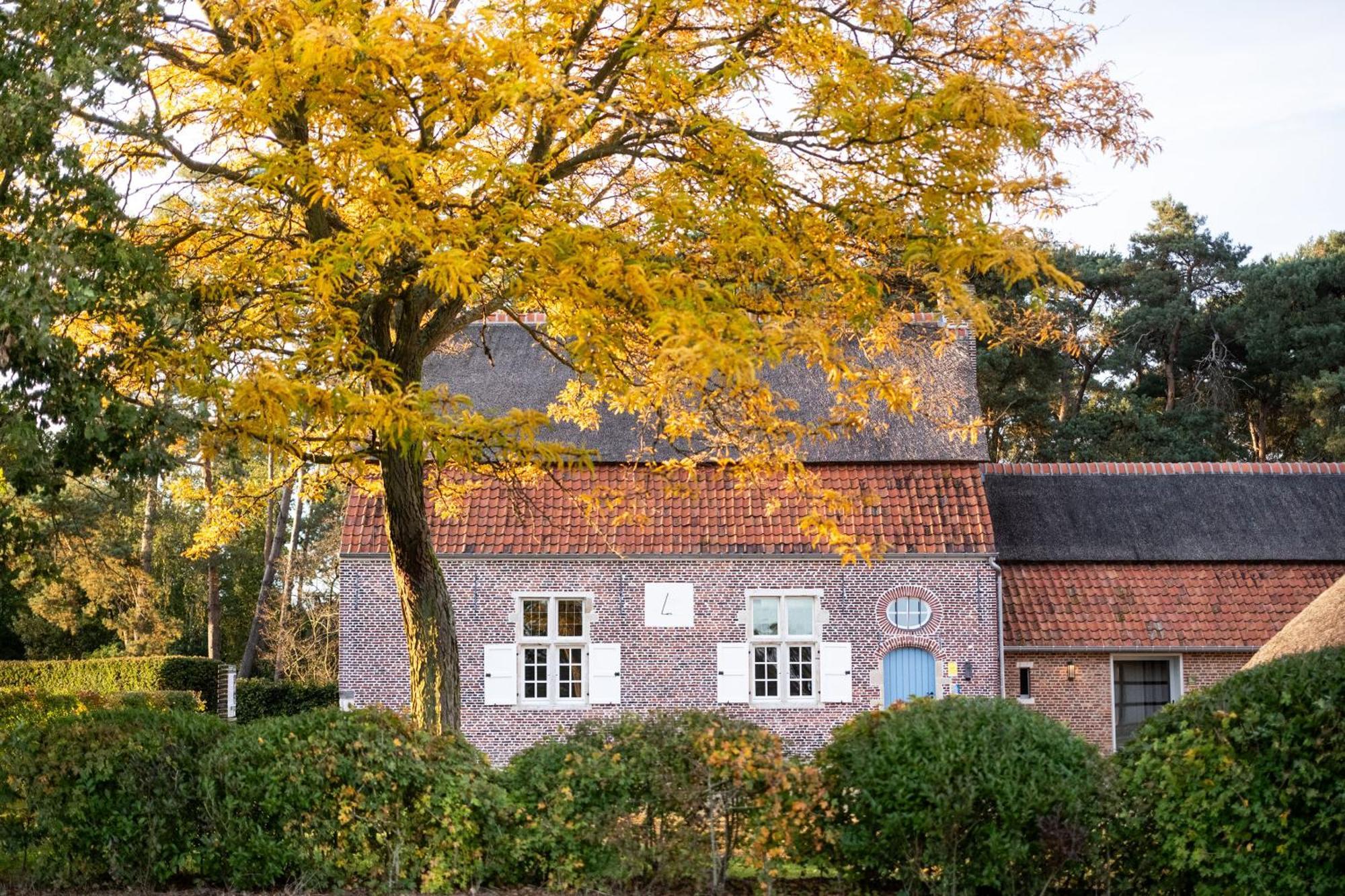 Beddermolen - Molenhuis Op Historisch Erfgoeddomein Westerlo Exterior foto